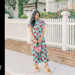 Victoria Dunn poppin posie flutter maxi magnolia dress green pink XS tuckernuck